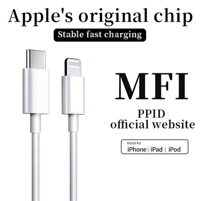 Cabo de dados original da Apple